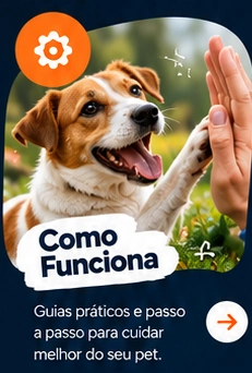 Como Funciona